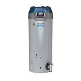 Product Literature: HCG Series Condensing Top-Fired Water Heater (300 series)